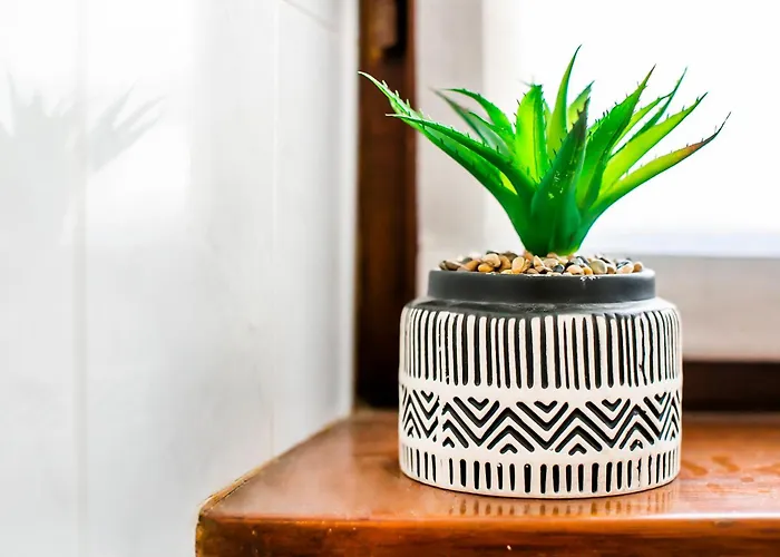 Appartamento Piazzaroma23