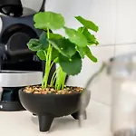 Διαμέρισμα Piazzaroma23 *