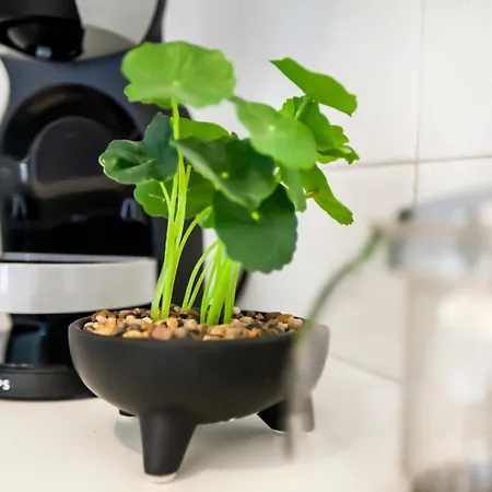 Lejlighed Piazzaroma23 *